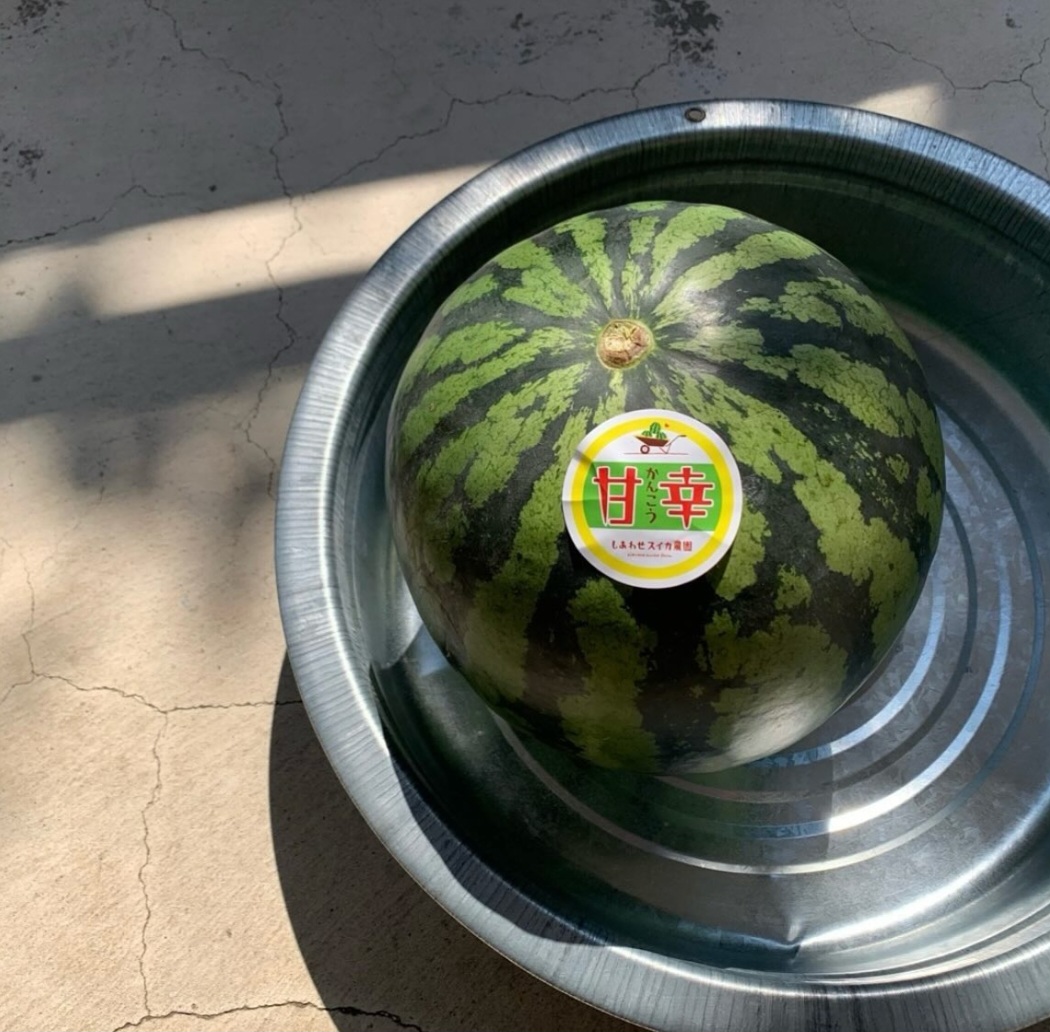 5/25日よりスイカの発送が始まりました♫ | しあわせスイカ農園